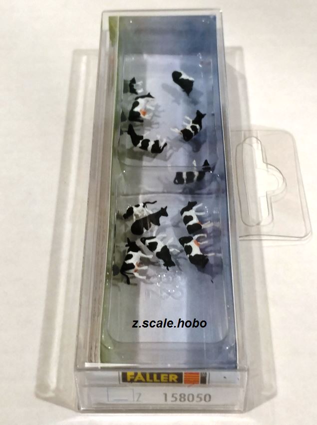 Image Not Loaded