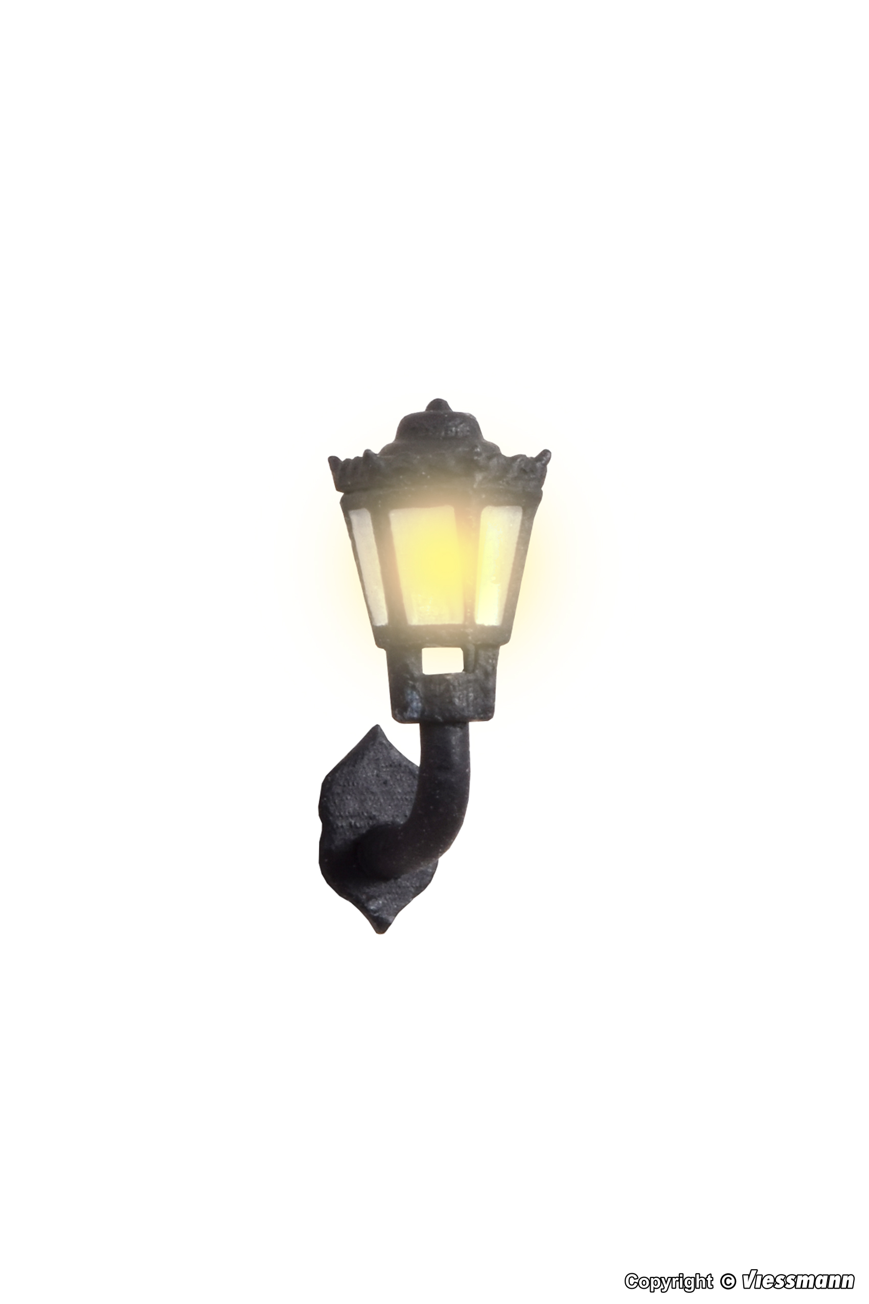 Image Not Loaded